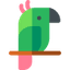 Parrot
